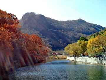 新澳门二四六天天开奖，大鹏背景